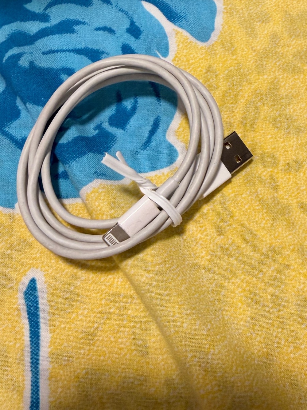 Apple White Lightning to USB Charging Cable